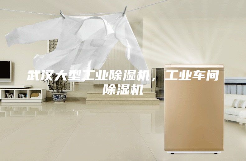 武汉大型工业除湿机，工业车间除湿机