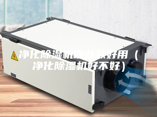 净化除湿机哪些款好用（净化除湿机好不好）