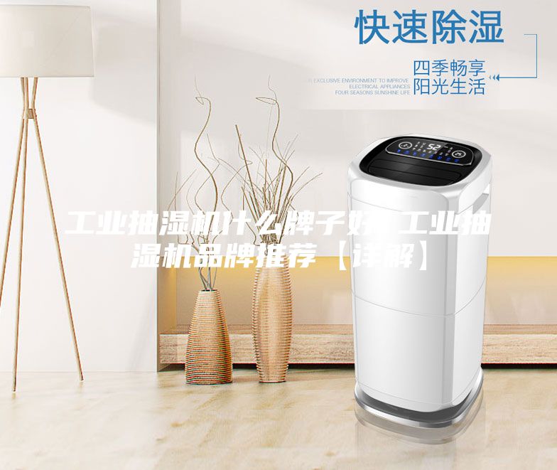 工业抽湿机什么牌子好 工业抽湿机品牌推荐【详解】