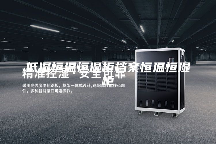 低湿恒温恒湿柜档案恒温恒湿柜