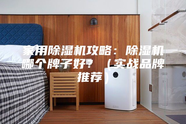 家用除湿机攻略：除湿机哪个牌子好？（实战品牌推荐）