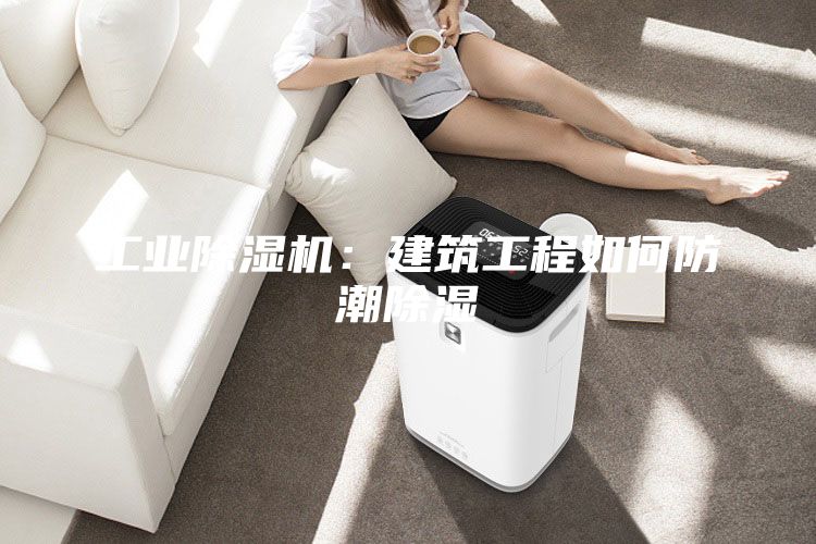 工业除湿机：建筑工程如何防潮除湿