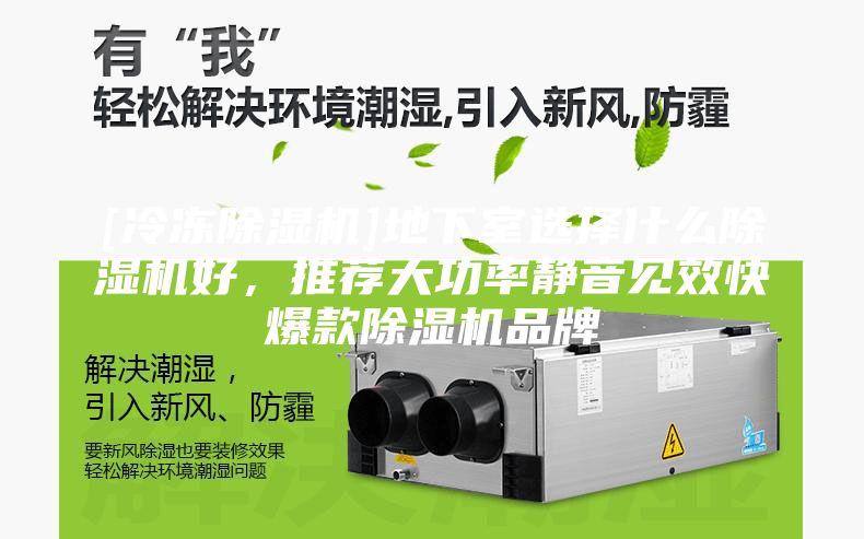 [冷冻除湿机]地下室选择什么除湿机好，推荐大功率静音见效快爆款除湿机品牌