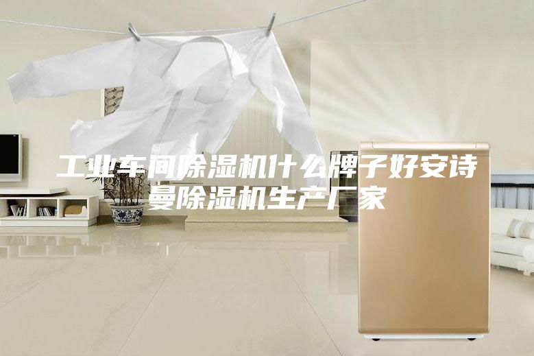 工业车间除湿机什么牌子好安诗曼除湿机生产厂家