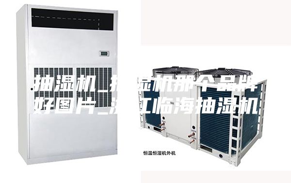 抽湿机_抽湿机那个品牌好图片_浙江临海抽湿机