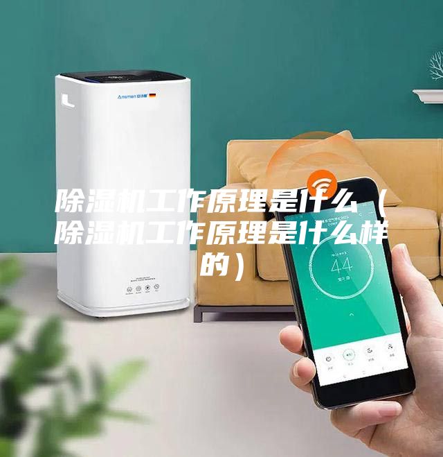 除湿机工作原理是什么（除湿机工作原理是什么样的）