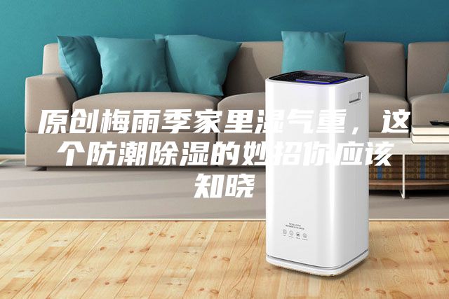 原创梅雨季家里湿气重，这个防潮除湿的妙招你应该知晓
