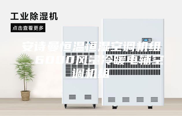 安诗曼恒温恒湿空调机组  6000风量冷暖电辅空调机组