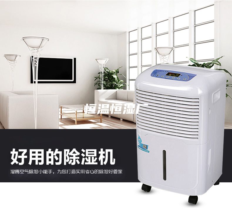 恒温恒湿厂