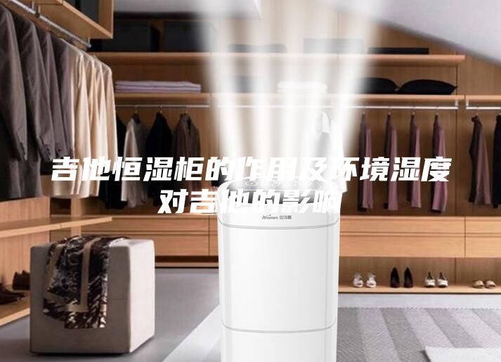 吉他恒湿柜的作用及环境湿度对吉他的影响