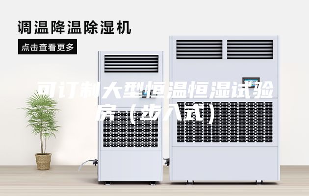 可订制大型恒温恒湿试验房（步入式）