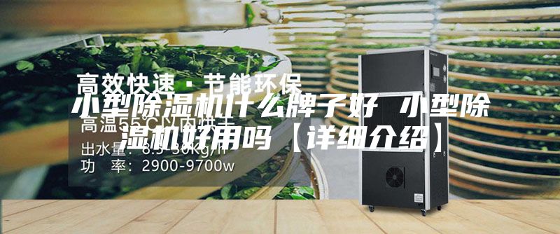 小型除湿机什么牌子好 小型除湿机好用吗【详细介绍】