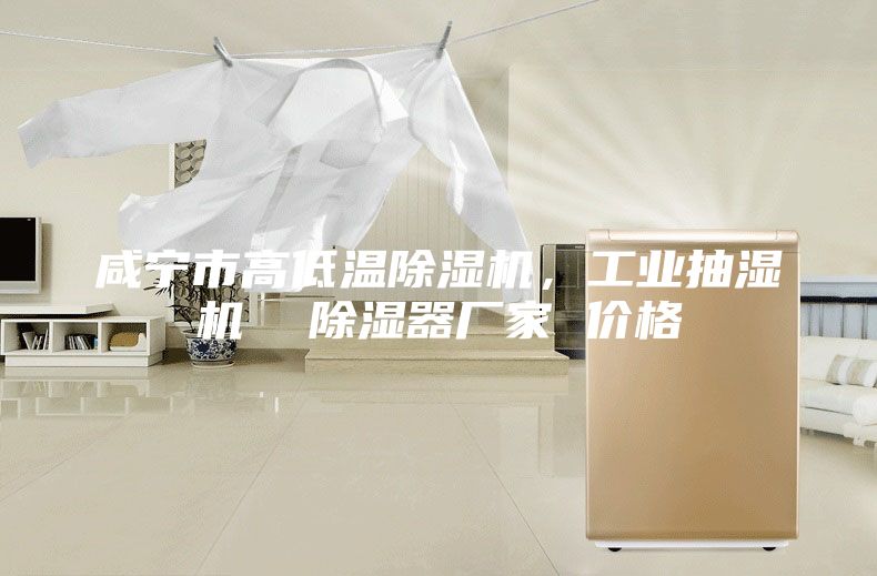 咸宁市高低温除湿机，工业抽湿机  除湿器厂家 价格
