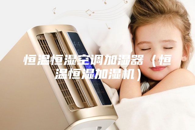 恒温恒湿空调加湿器（恒温恒湿加湿机）
