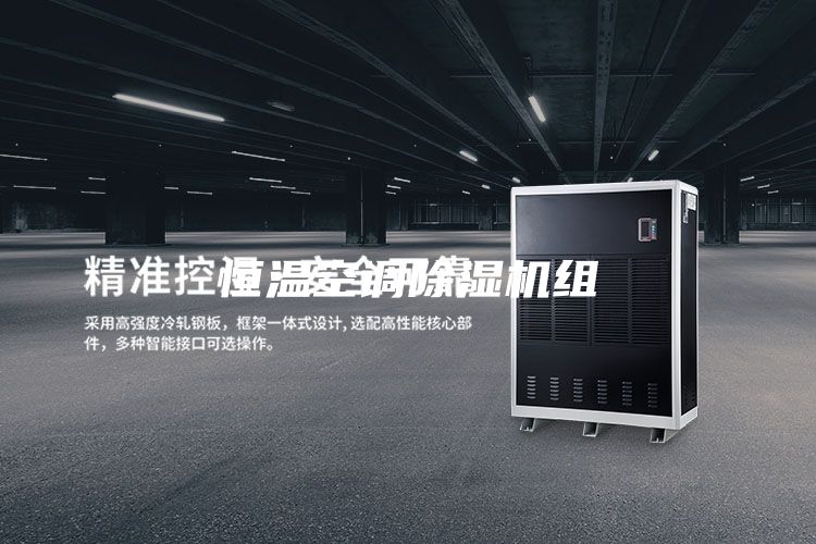 恒温空调除湿机组