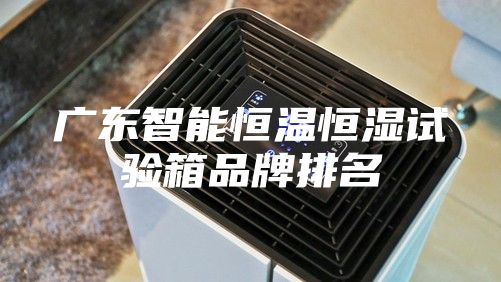 广东智能恒温恒湿试验箱品牌排名