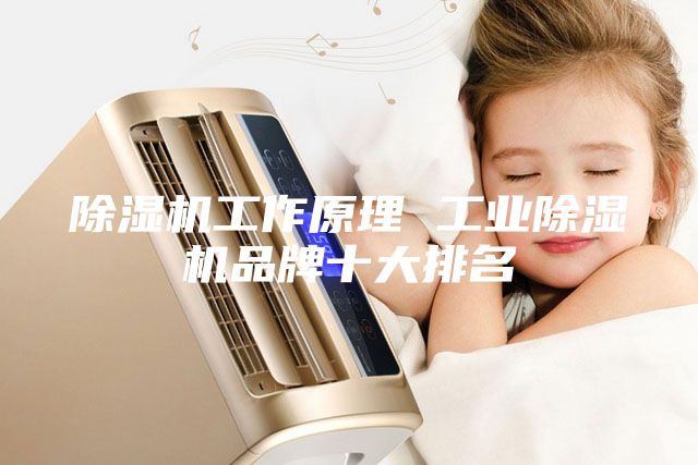 除湿机工作原理 工业除湿机品牌十大排名