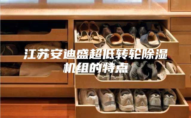 江苏安迪盛超低转轮除湿机组的特点