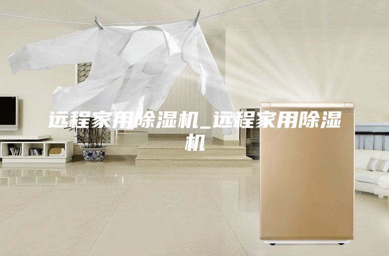 远程家用除湿机_远程家用除湿机