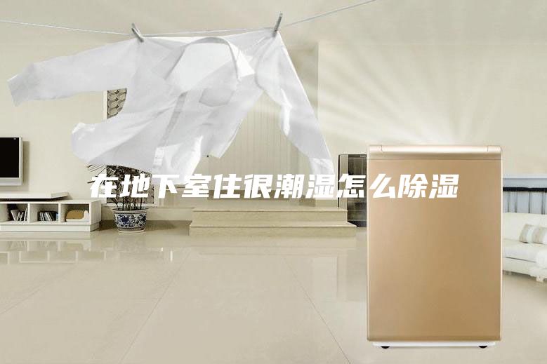 在地下室住很潮湿怎么除湿