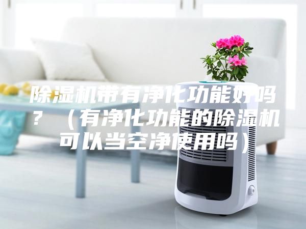 除湿机带有净化功能好吗？（有净化功能的除湿机可以当空净使用吗）