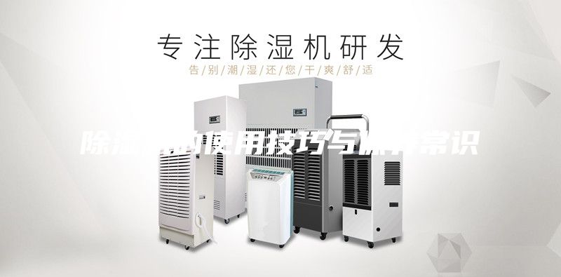 除湿机的使用技巧与保养常识