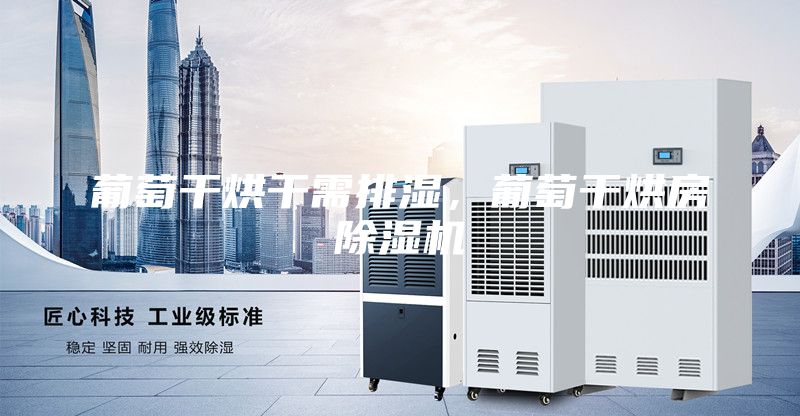 葡萄干烘干需排湿，葡萄干烘房除湿机