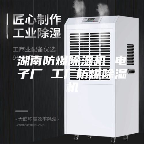 湖南防爆除湿机 电子厂 工厂防爆除湿机