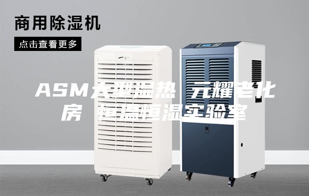 ASM大型湿热 元耀老化房 恒温恒湿实验室