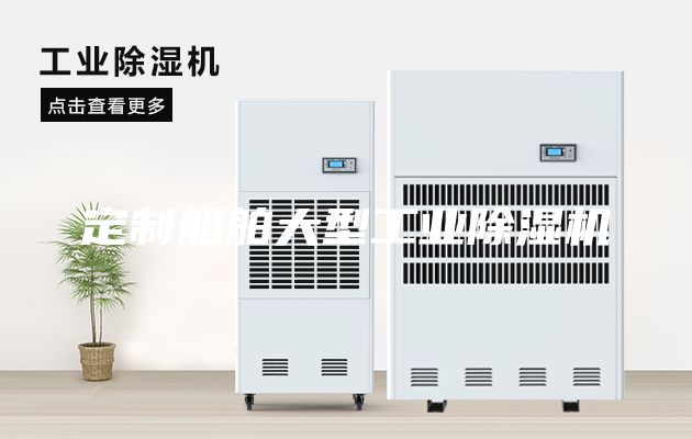 定制船舶大型工业除湿机