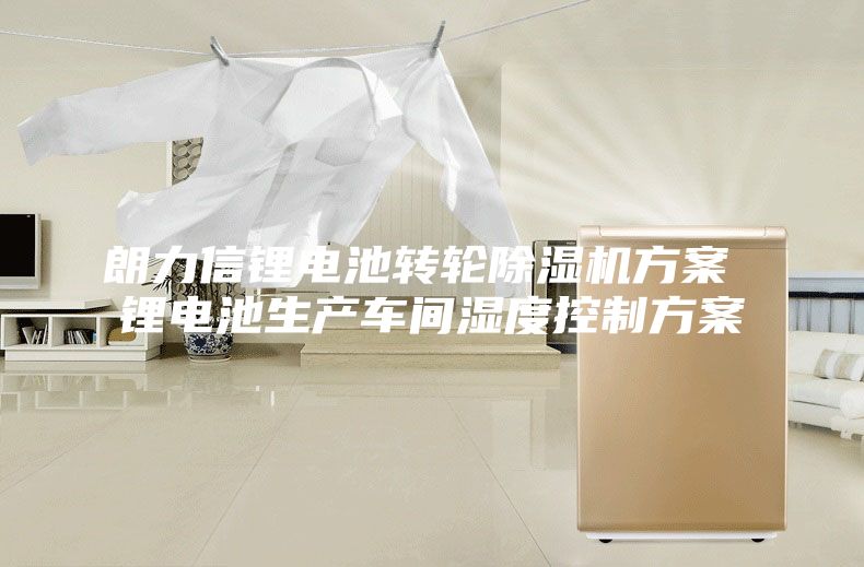 朗力信锂电池转轮除湿机方案 锂电池生产车间湿度控制方案
