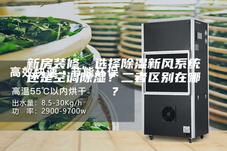 新房装修，选择除湿新风系统还是空调除湿？二者区别在哪？