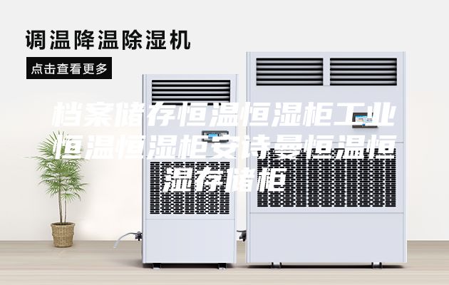 档案储存恒温恒湿柜工业恒温恒湿柜安诗曼恒温恒湿存储柜
