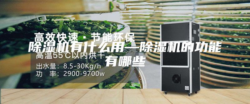 除湿机有什么用—除湿机的功能有哪些