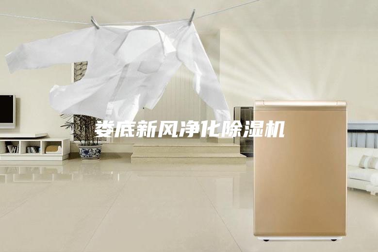 娄底新风净化除湿机