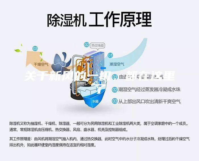 关于新风的一切，都在这里了
