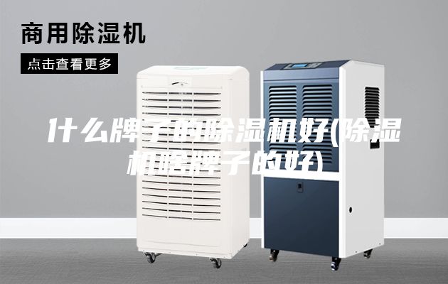什么牌子的除湿机好(除湿机啥牌子的好)