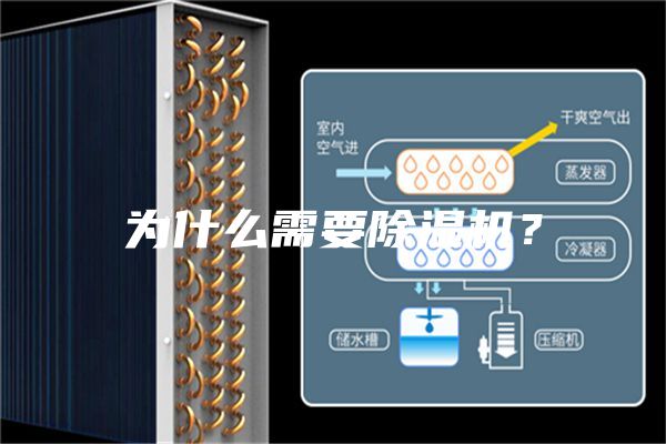 为什么需要除湿机？