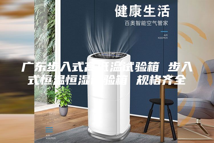 广东步入式高低温试验箱 步入式恒温恒湿试验箱 规格齐全