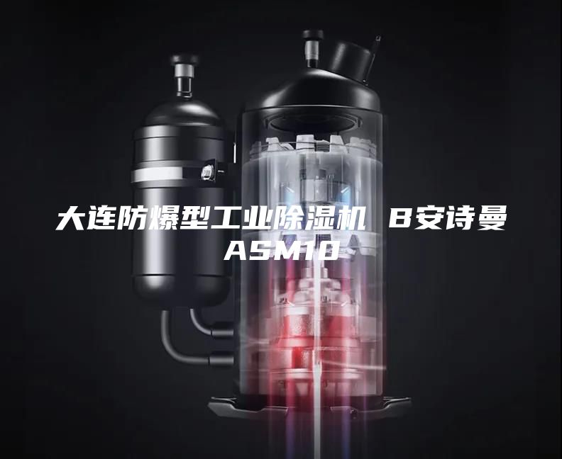 大连防爆型工业除湿机 B安诗曼ASM10