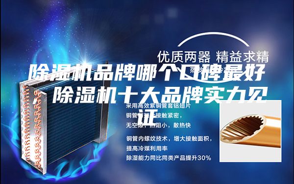 除湿机品牌哪个口碑最好，除湿机十大品牌实力见证