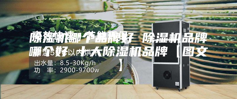 除湿机哪个品牌好 除湿机品牌哪个好 十大除湿机品牌【图文】