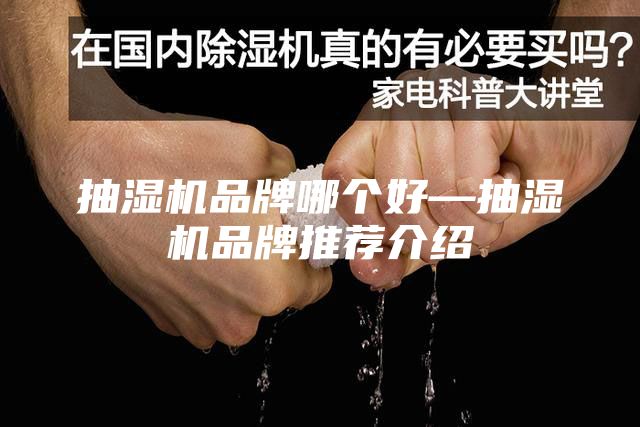 抽湿机品牌哪个好—抽湿机品牌推荐介绍