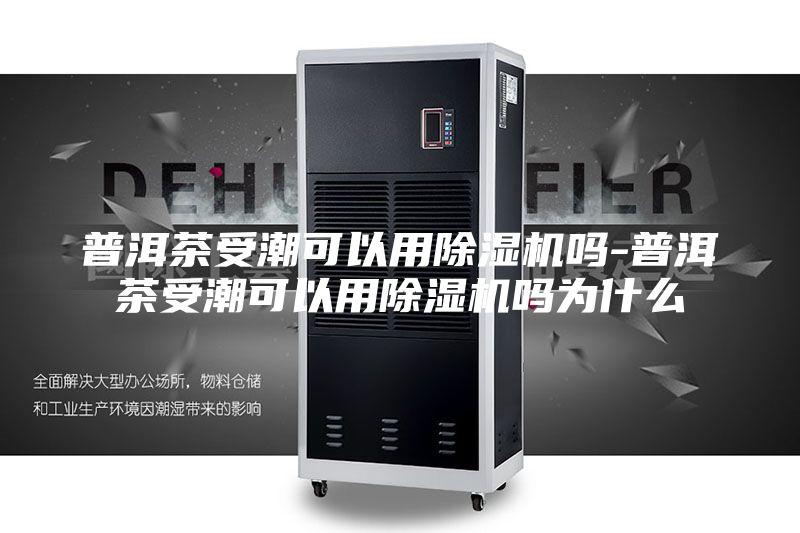 普洱茶受潮可以用除湿机吗-普洱茶受潮可以用除湿机吗为什么