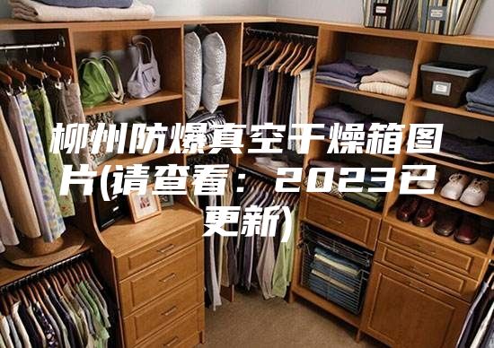 柳州防爆真空干燥箱图片(请查看：2023已更新)