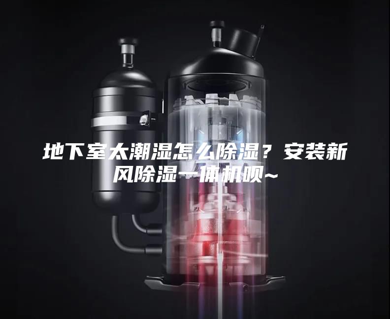 地下室太潮湿怎么除湿？安装新风除湿一体机呗~
