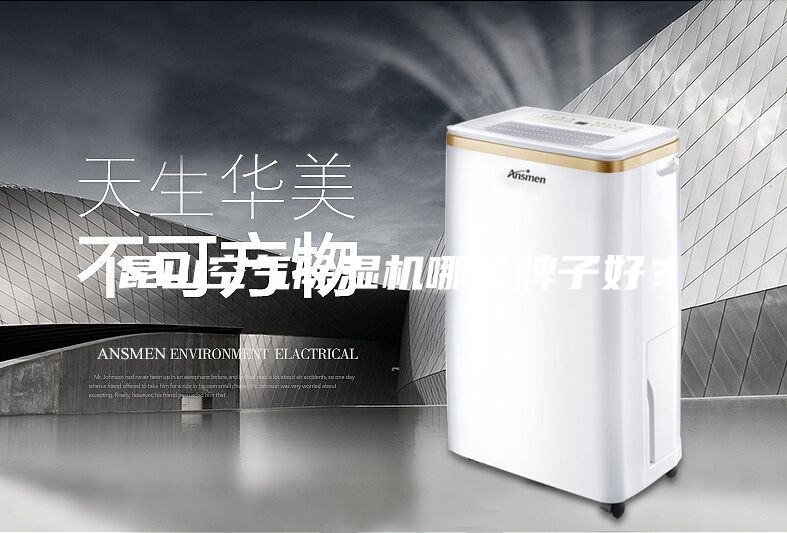 昆山空气除湿机哪个牌子好？