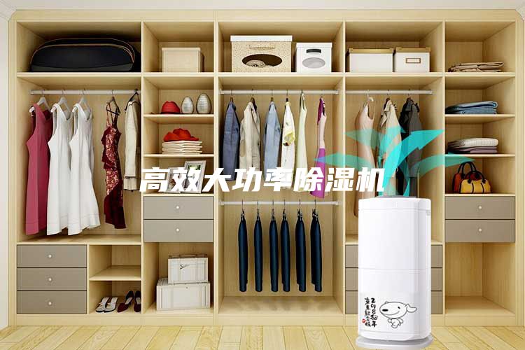 高效大功率除湿机