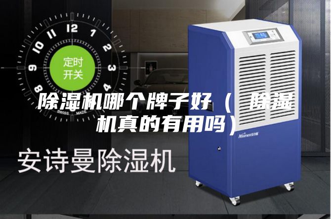 除湿机哪个牌子好（ 除湿机真的有用吗）