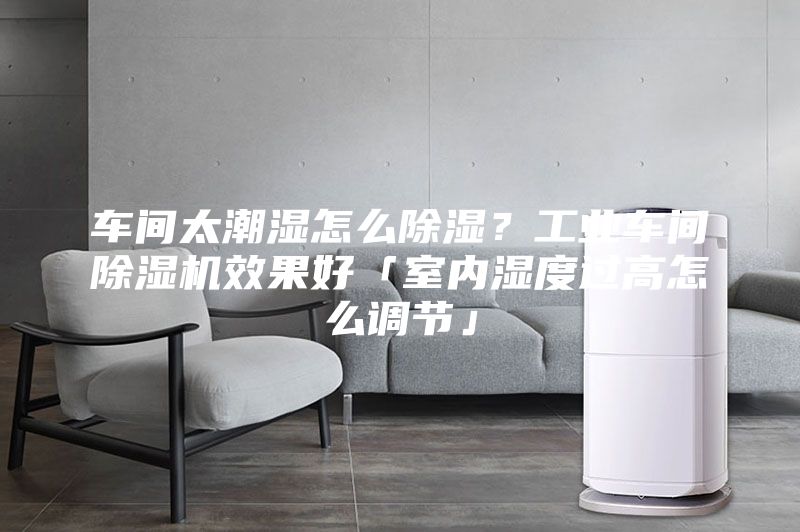 车间太潮湿怎么除湿？工业车间除湿机效果好「室内湿度过高怎么调节」